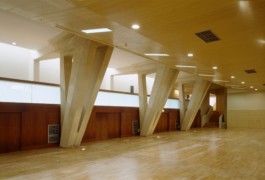 FRANCIS NORDEMANN ARCHITECTE/URBANISTE